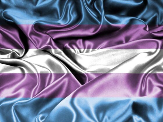 31 de março: Dia Internacional da Visibilidade Trans