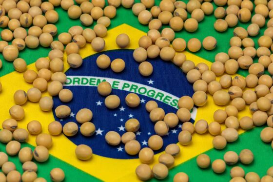 O agro brasileiro alimenta o mundo?