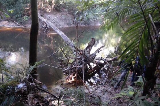 Funai deixa de proteger indígenas isolados localizados na Amazônia