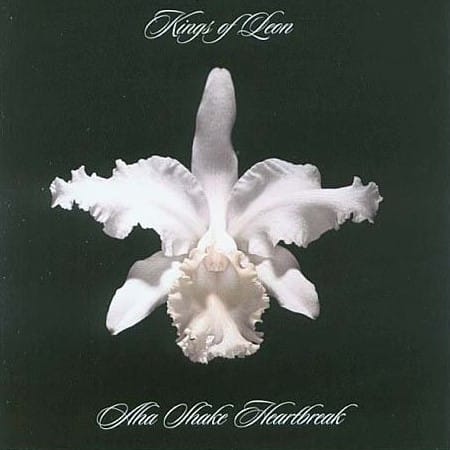 LP Kings Of Leon – Aha Shake Heartbreak